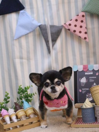 20250506モカちゃん